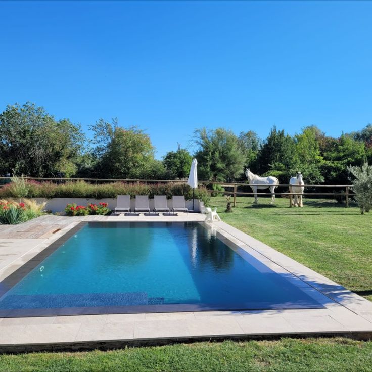 Piscine miroir